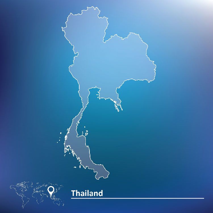 Mobile and online research panel in Thailand